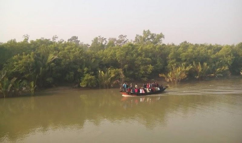 সুন্দরবন এর প্রাকৃতিক দৃশ্য।